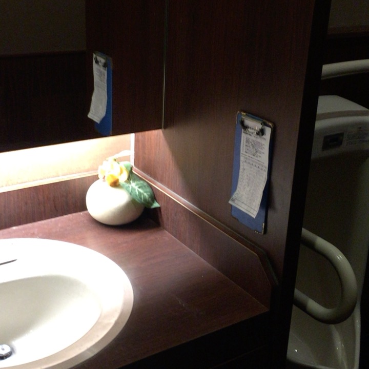 トイレの中もアジアンリゾート風でキレイでしたよ