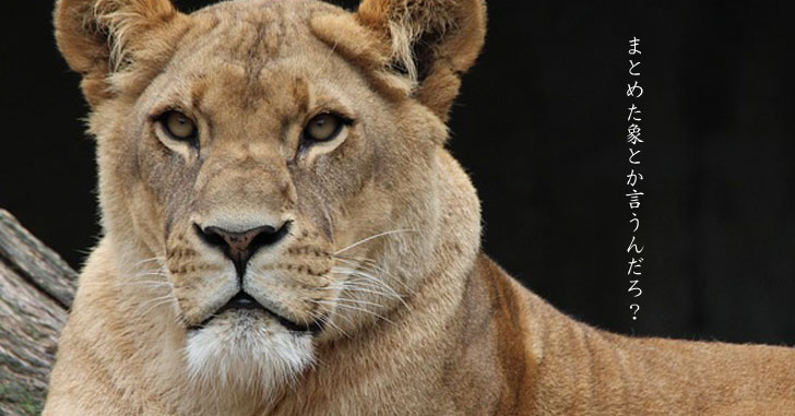 ワードプレステーマエレファントの記事まとめました。使い方・感想・実装しているブログ等…