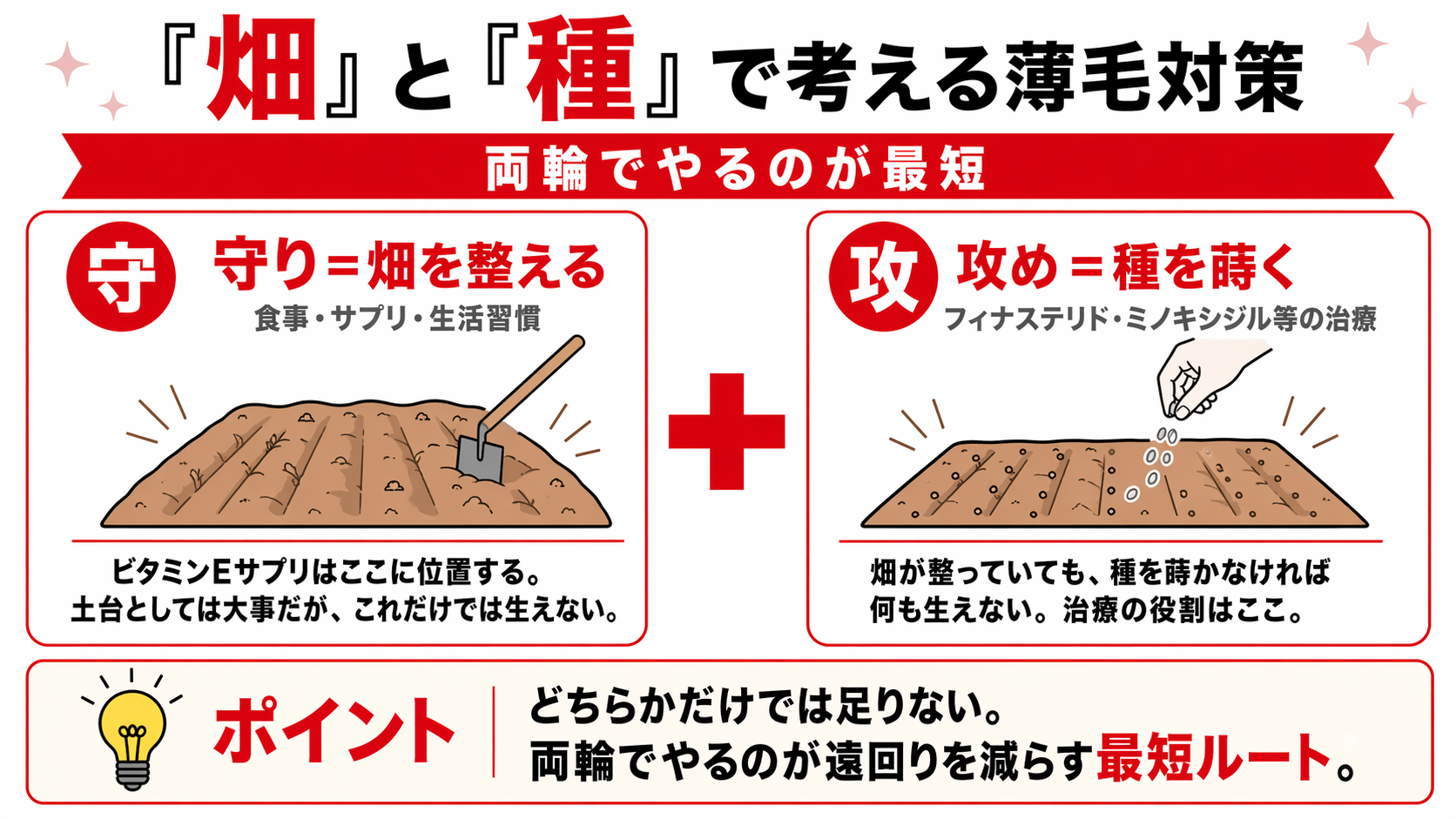 薄毛対策における守り（食事・サプリ）と攻め（治療）の役割分離を畑と種の比喩で図解