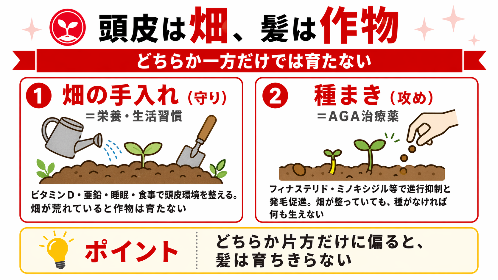 頭皮を畑にたとえた栄養と治療の役割分離を示す図解