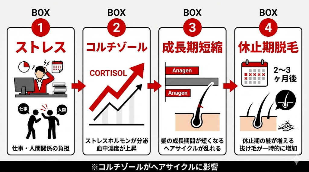ストレスで抜け毛が増えるメカニズムを4ステップで整理した図解
