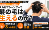 スカルプシャンプーで髪の毛は生えるのか？頭皮を整える3つの役割と選び方の手順
