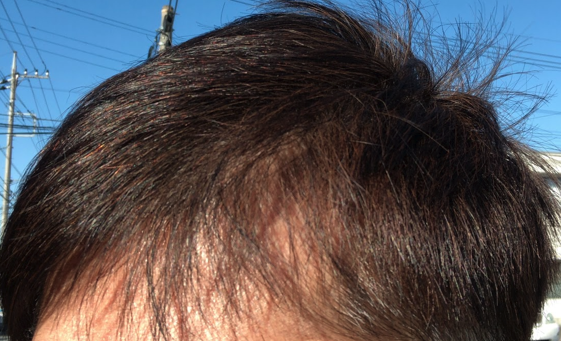 スクリーンショット 2026 03 10 8.06.02